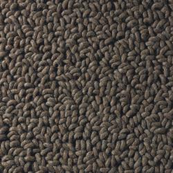Brink And Campman Gravel Boucle 68105 i 200x300 cm